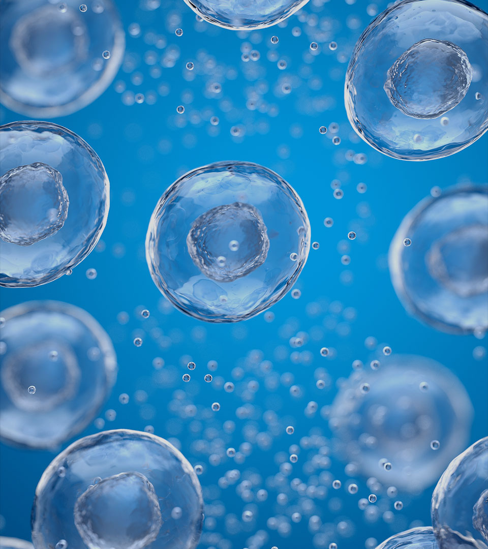 悦泉云川真天然·悦心间